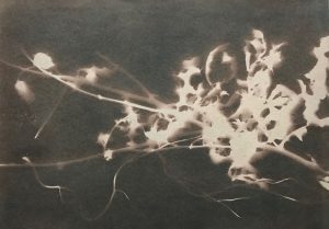 'Hill' tinted cyanotype print 15 x 21 cm