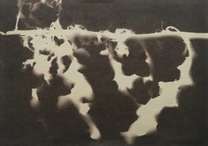 'Home' tinted cyanotype print 15 x 21 cm