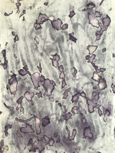 'Cosmic 1' 2026 42x30 cm plant material and alcohol on paper
