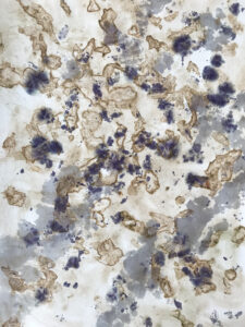 'Cosmic 2' 2026 42x30 cm plant material and alcohol on paper
